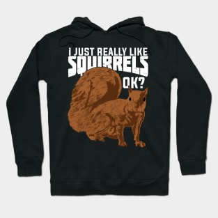 I Just Really Like Squirrels Ok Hoodie